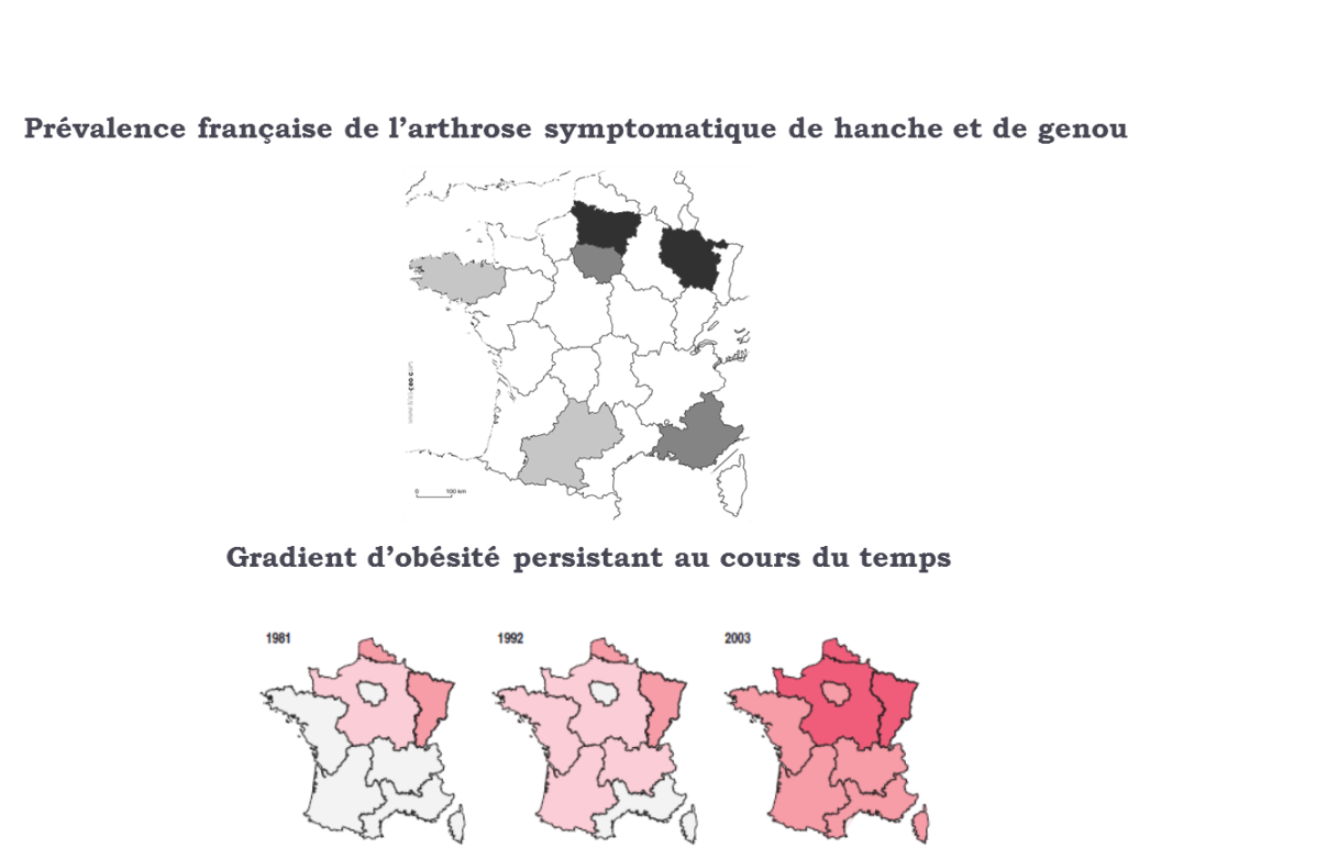 Obésité France